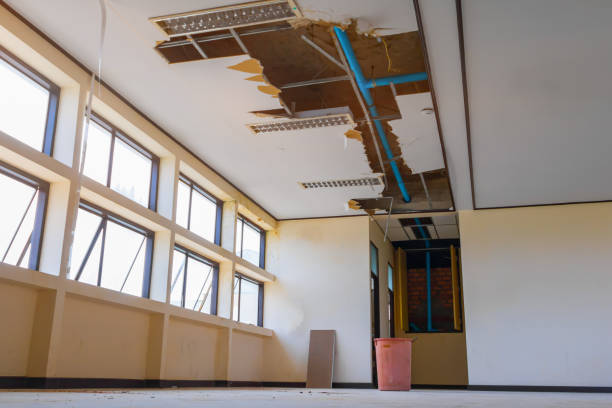 Best Flood damage cleanup  in Big Le, AK