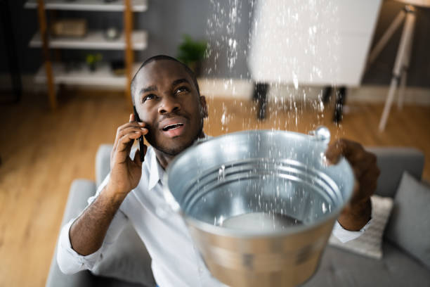 Best Local water damage restoration  in Big Le, AK