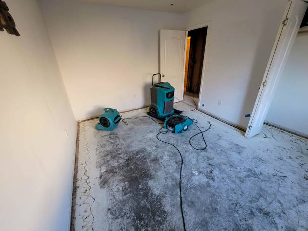 Best Water damage cleanup near me  in Big Le, AK