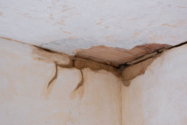 Best Water damage restoration experts  in Big Le, AK