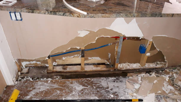 Best Ceiling water damage repair  in Big Le, AK
