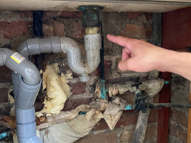 Best Water damage contractors near me  in Big Le, AK