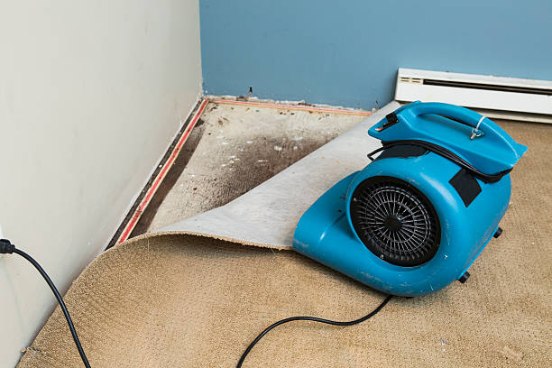 Professional Water damage restoration in Big Lake, AK